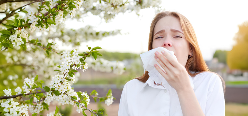 Фото статьи блога Как облегчить симптомы бронхиальной астмы весной? Фото статьи блога Как облегчить симптомы бронхиальной астмы весной?
