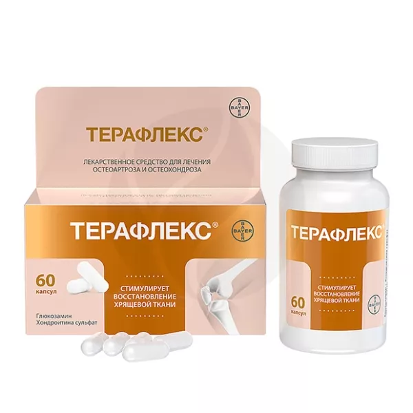 Терафлекс капсулы №60  фото в интернет-аптеке "Фармсервис"
