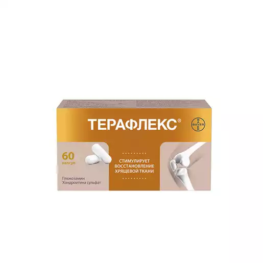 Терафлекс капсулы №60  фото в интернет-аптеке "Фармсервис"