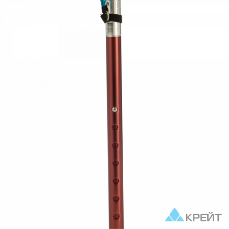 Трость Dayang Medical TS710 детальное фото в интернет-аптеке "Фармсервис"