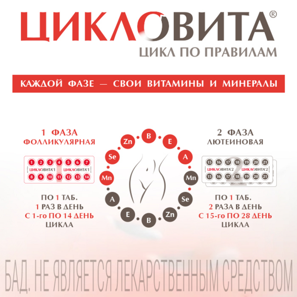 Цикловита Комплекс таблетки №42 фото в интернет-аптеке "Фармсервис" Цикловита Комплекс таблетки №42 фото в интернет-аптеке "Фармсервис"