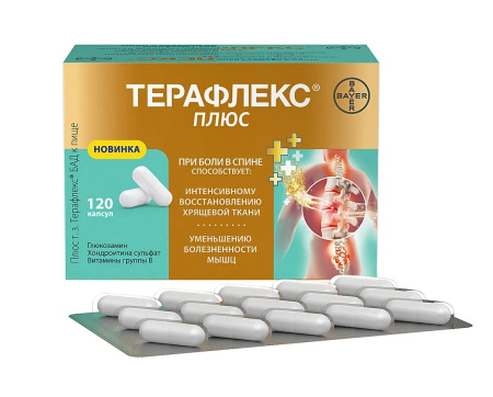 Терафлекс плюс капсулы №120 детальное фото в интернет-аптеке "Фармсервис"