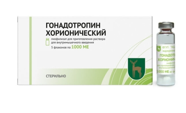 Гонадотропин хорионический лиофилизат для приготовления раствора для внутримышечного введения 1000МЕ x 1000МЕ №5 фото в интернет-аптеке "Фармсервис"