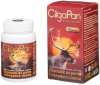 Цыгапан капс. 400мг №60 детальное фото в интернет-аптеке "Фармсервис"