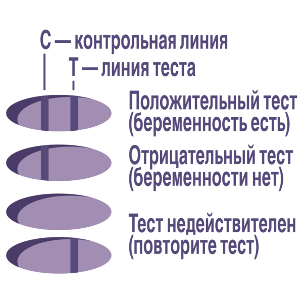 Тест на беременность EVITEST Perfect струйный с кассетой-держателем фото в интернет-аптеке "Фармсервис"