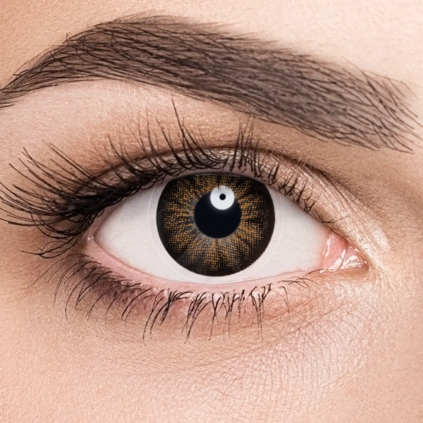 Линзы Adria Glamorous Brown (карий) фото в интернет-аптеке "Фармсервис"