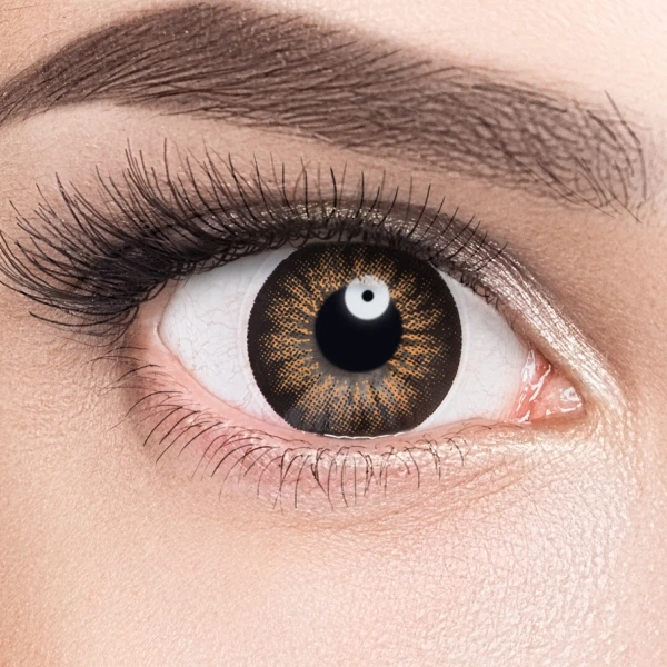 Линзы Adria Glamorous Brown (карий) фото в интернет-аптеке "Фармсервис"