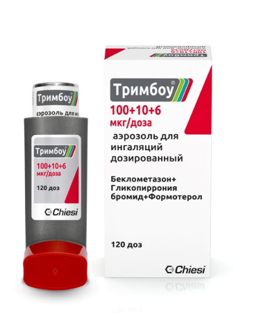 Тримбоу аэрозоль для ингаляций дозированный 100мкг/доза+10мкг/доза+6мкг/доза x 120доза №1 детальное фото в интернет-аптеке "Фармсервис"