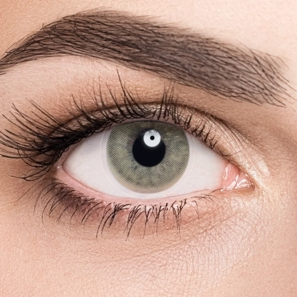 Линзы ADRIA Effect Ivory (айвори) фото в интернет-аптеке "Фармсервис"